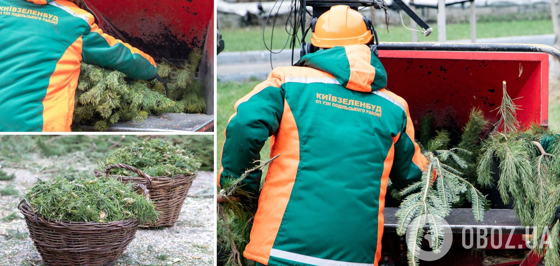 В Киеве в январе начнут работать пункты утилизации деревьев