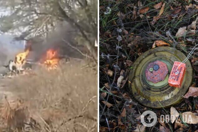 На Харківщині автомобіль з подружжям підірвався на міні: чоловік загинув на місці. Фото і відео