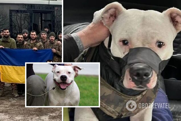Из российского плена вернули собаку с 'Азовстали', которую подарили Кадырову. Фото