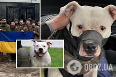 Из российского плена вернули собаку с 'Азовстали', которую подарили Кадырову. Фото