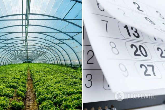 Посевной календарь на январь-2023: какие дни будут суперплодородными