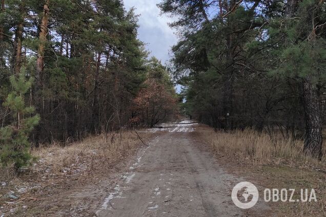 Осадков синоптики не прогнозируют