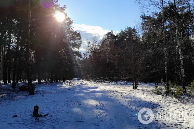 Осадков синоптики не прогнозируют