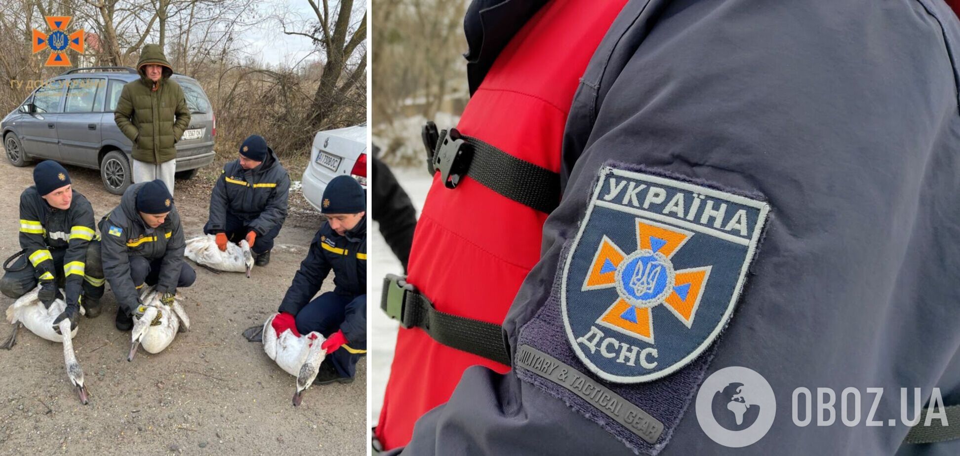 Спасатели помогли освободить птиц из ледяной ловушки