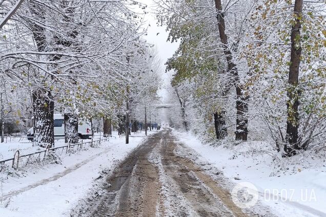 Опадів синоптики не прогнозують