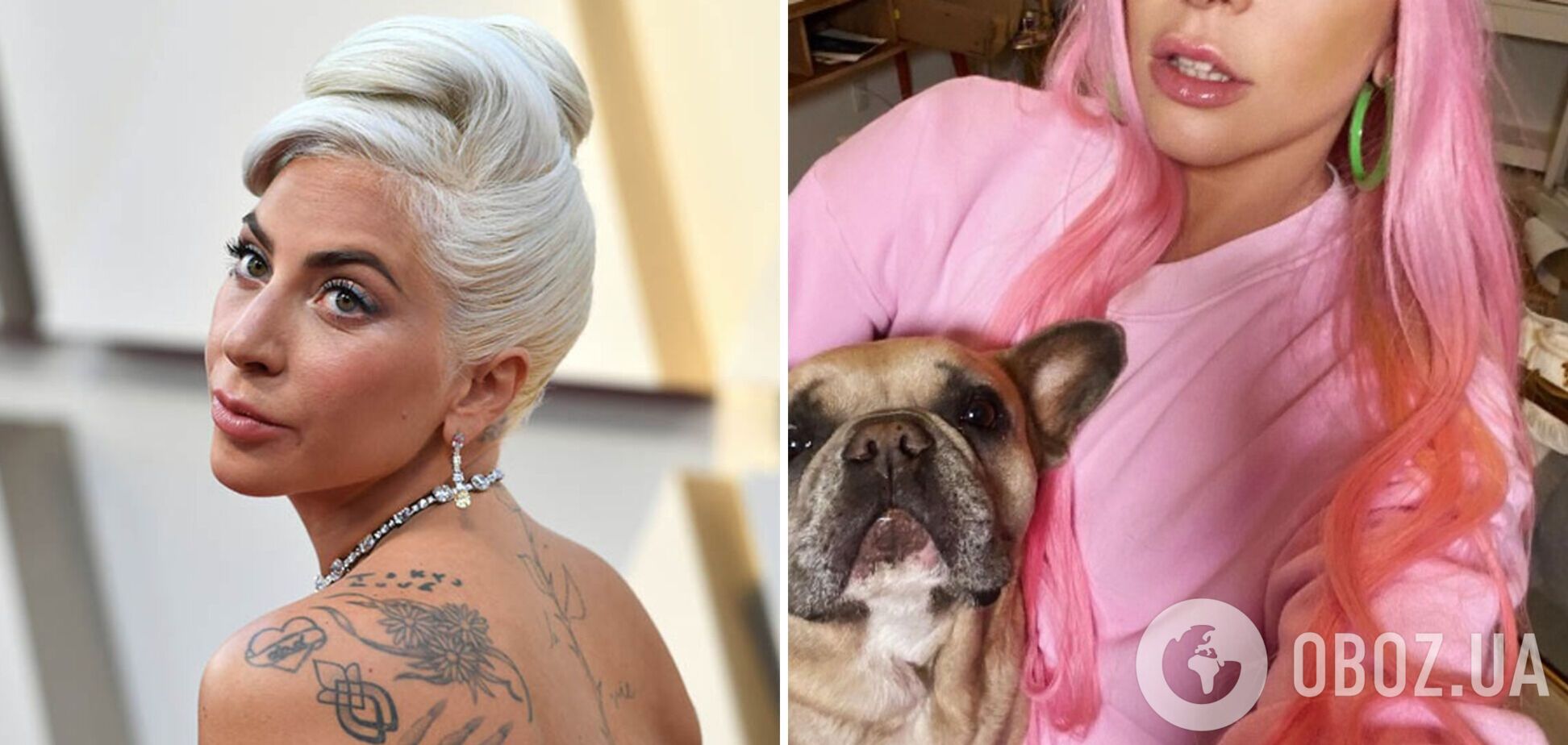 Викрадач бульдогів Леді Гаги проведе за ґратами 21 рік: фото селебріті з улюбленцями