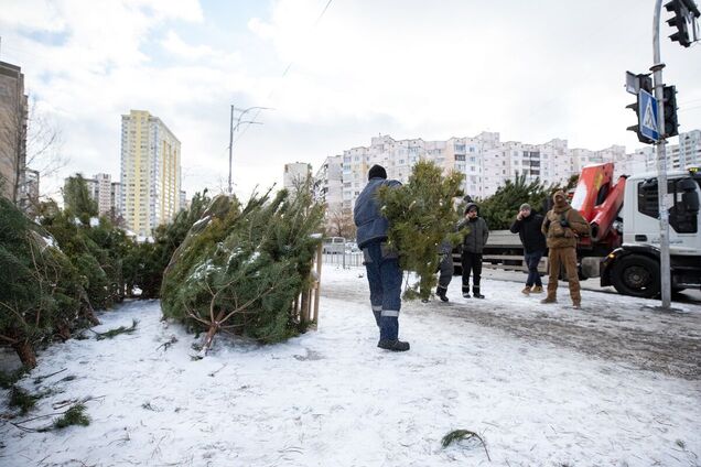 Чипированные елки можно будет купить только на официальных ярмарках
