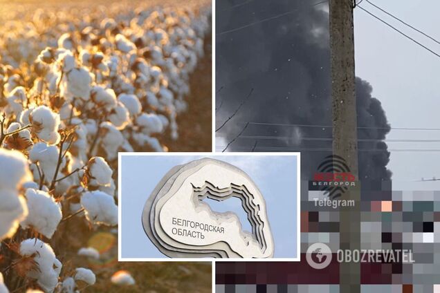 'Бавовна' под Белгородом