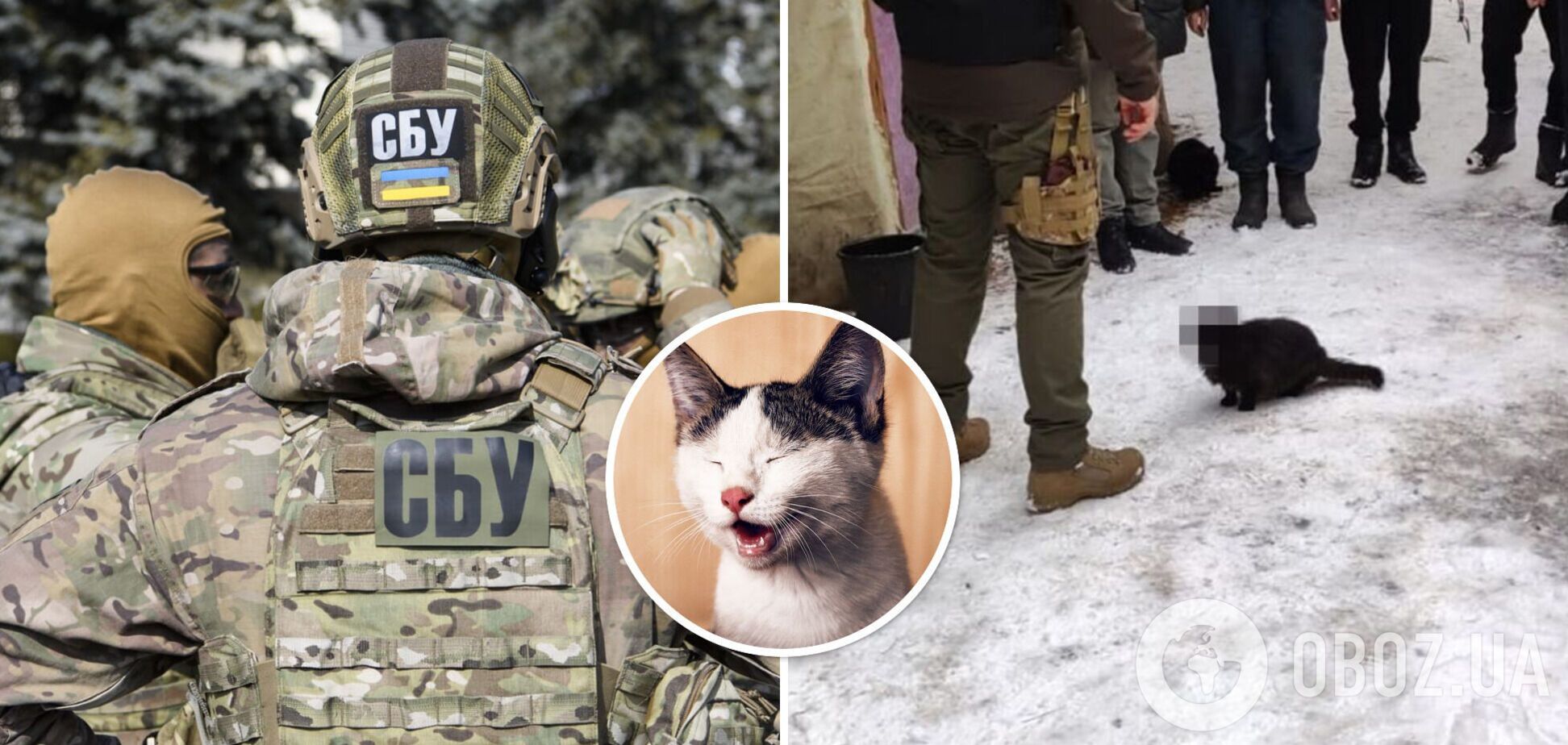 Котик-спецагент Службы безопасности Украины рассмешил сеть