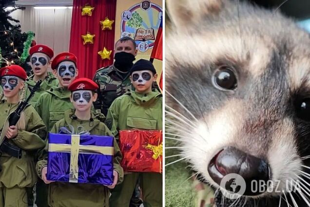 Грим под енота и письма от школьников: в Кемерово провели акцию, посвященную украденному в Херсоне животному. Фото и видео