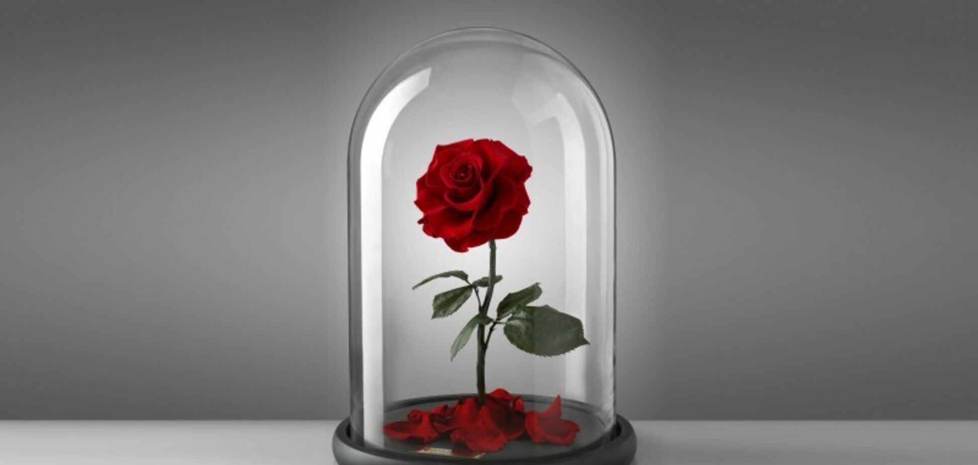 Можно ли не бояться смерти? Как и куда мы убегаем от осознания финала собственного бытия