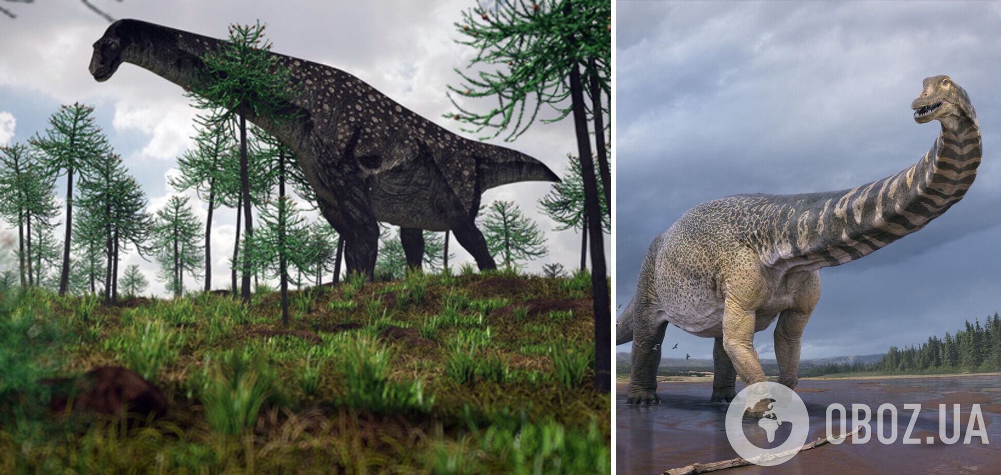 Ученые описали новый вид динозавра: весил 14 тонн