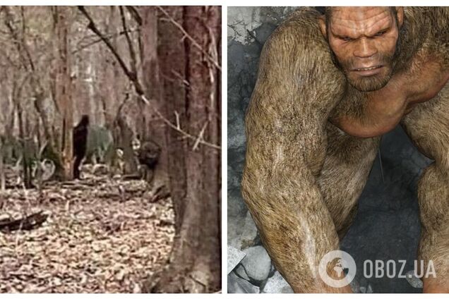 Американец заявил, что его семья видела 'снежного человека': появилось фото