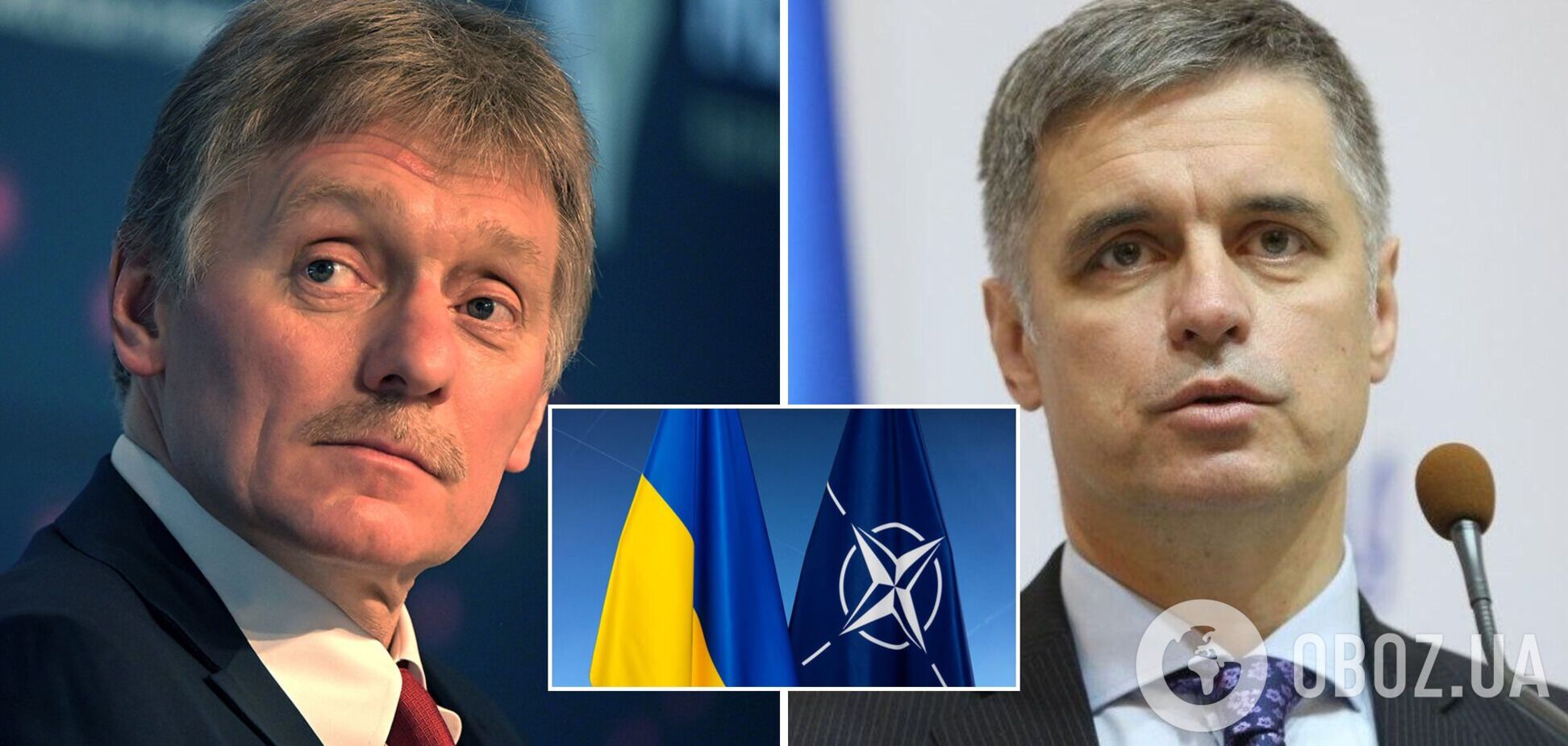 У Путіна відреагували на заяву про можливість відмови України від вступу до НАТО