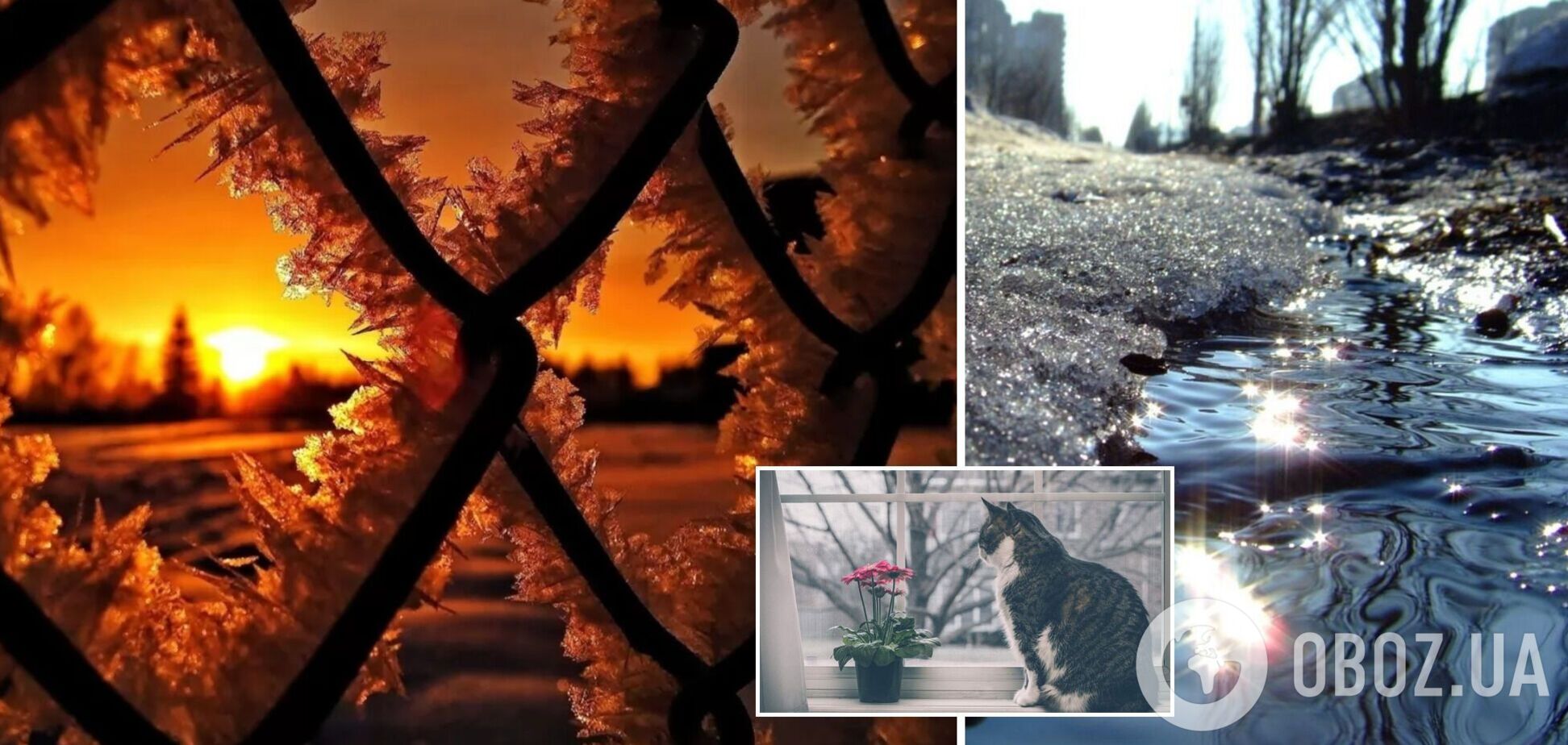 В Украине потеплеет до +10 градусов, но есть вероятность осадков: прогноз на начало недели. Карта