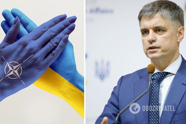 Пристайко пояснив свою скандальну заяву про готовність України відмовитися від вступу в НАТО