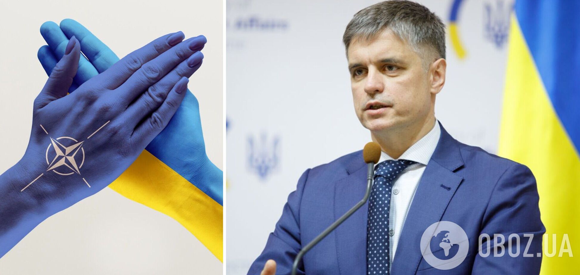 Украина-НАТО: когда приходит враг, лучше встречать его с сильными друзьями