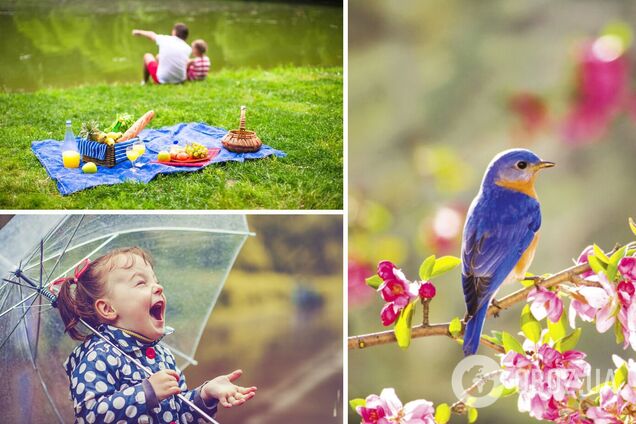 Майские праздники-2022 могут стать холодными и дождливыми: появился прогноз