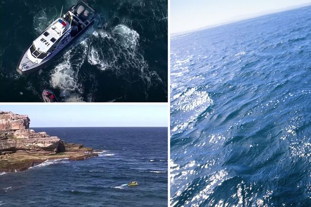 Акула разорвала пловца