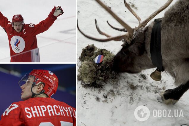 Олень Малюк передбачив перемогу ОКР