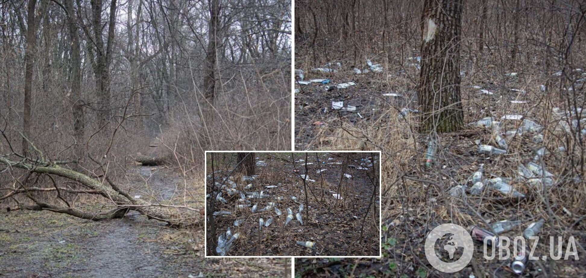 Вместо зарослей и мусора: на Слобожанском проспекте Днепра возведут мощный спортивный центр