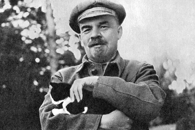 У Британії на вулиці підібрали кішку, схожу на Леніна. Фото