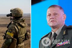 Залужный: Украина не планирует наступательные операции на Донбассе, не верьте фейкам оккупантов. Видео