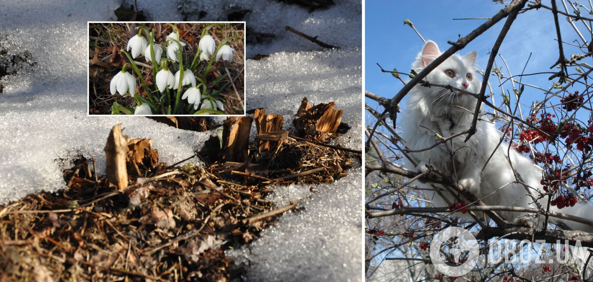Сильный ветер и весеннее тепло: прогноз погоды в Украине на 20 февраля