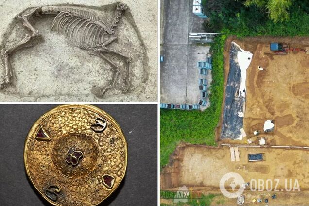 В Германии нашли останки всадника и лошади возрастом 1400 лет
