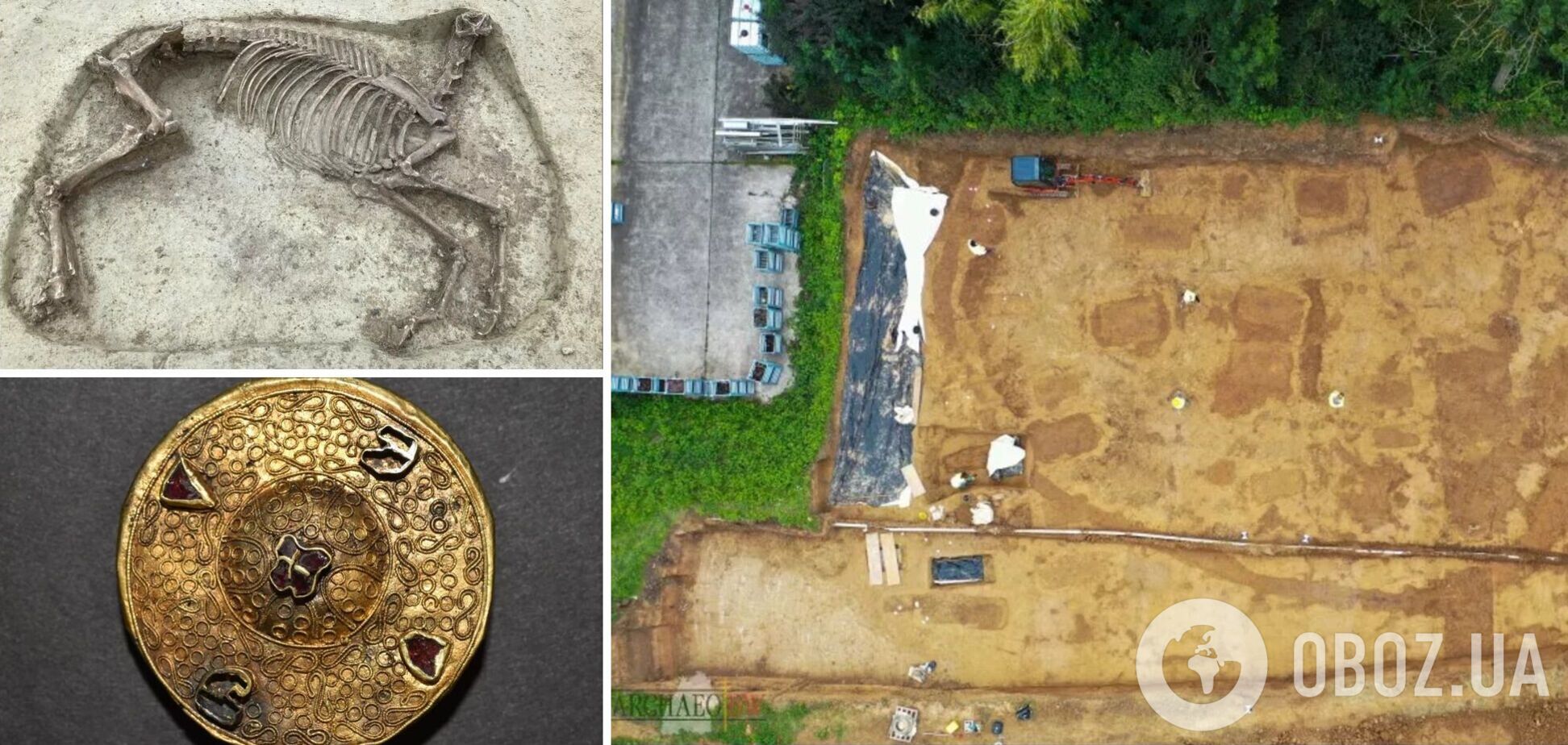 У Німеччині знайшли останки вершника та коня віком 1400 років