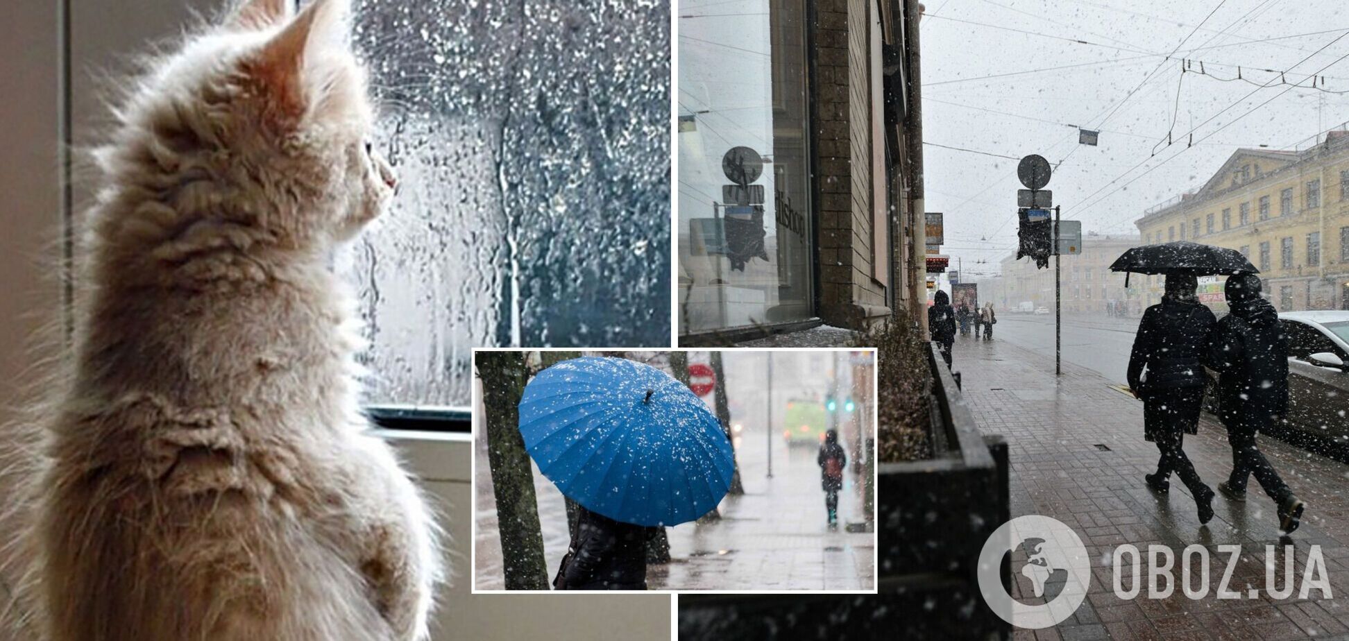 Україну накриє дощ із мокрим снігом: прогноз погоди на 24 лютого