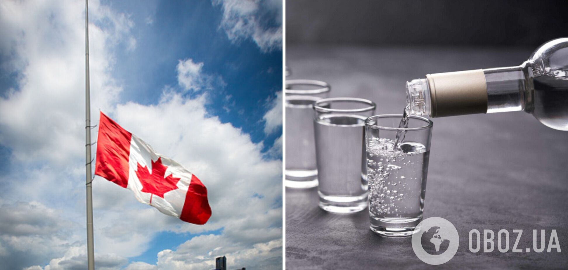 В Канаде продавцы убирают российскую водку из полок магазинов 