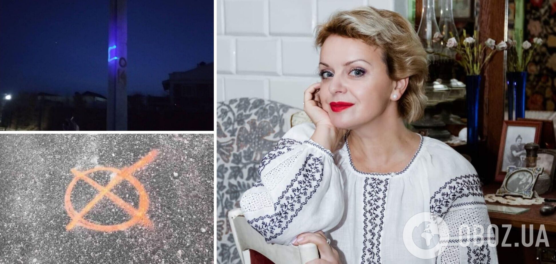 Ірма Вітовська запропонувала знищувати українців-зрадників, які працюють на Росію