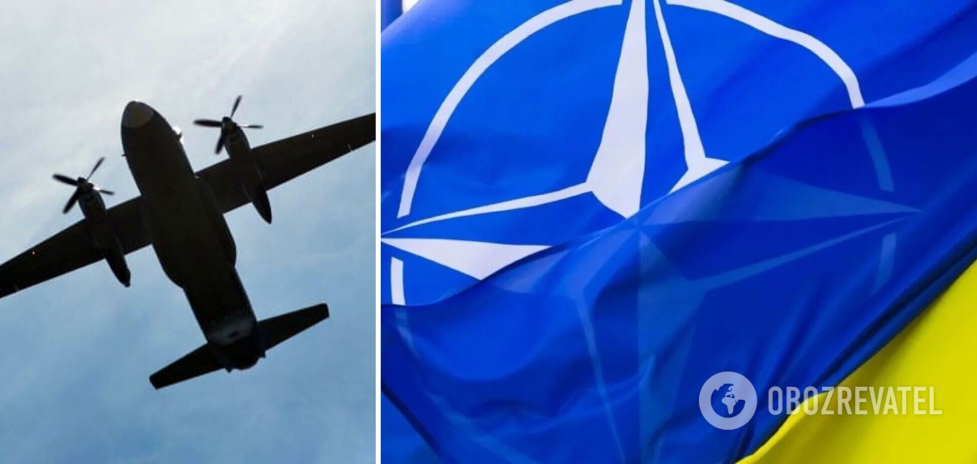 'Поширюйте і підписуйте!' Українці закликали підтримати петицію до НАТО про закриття неба
