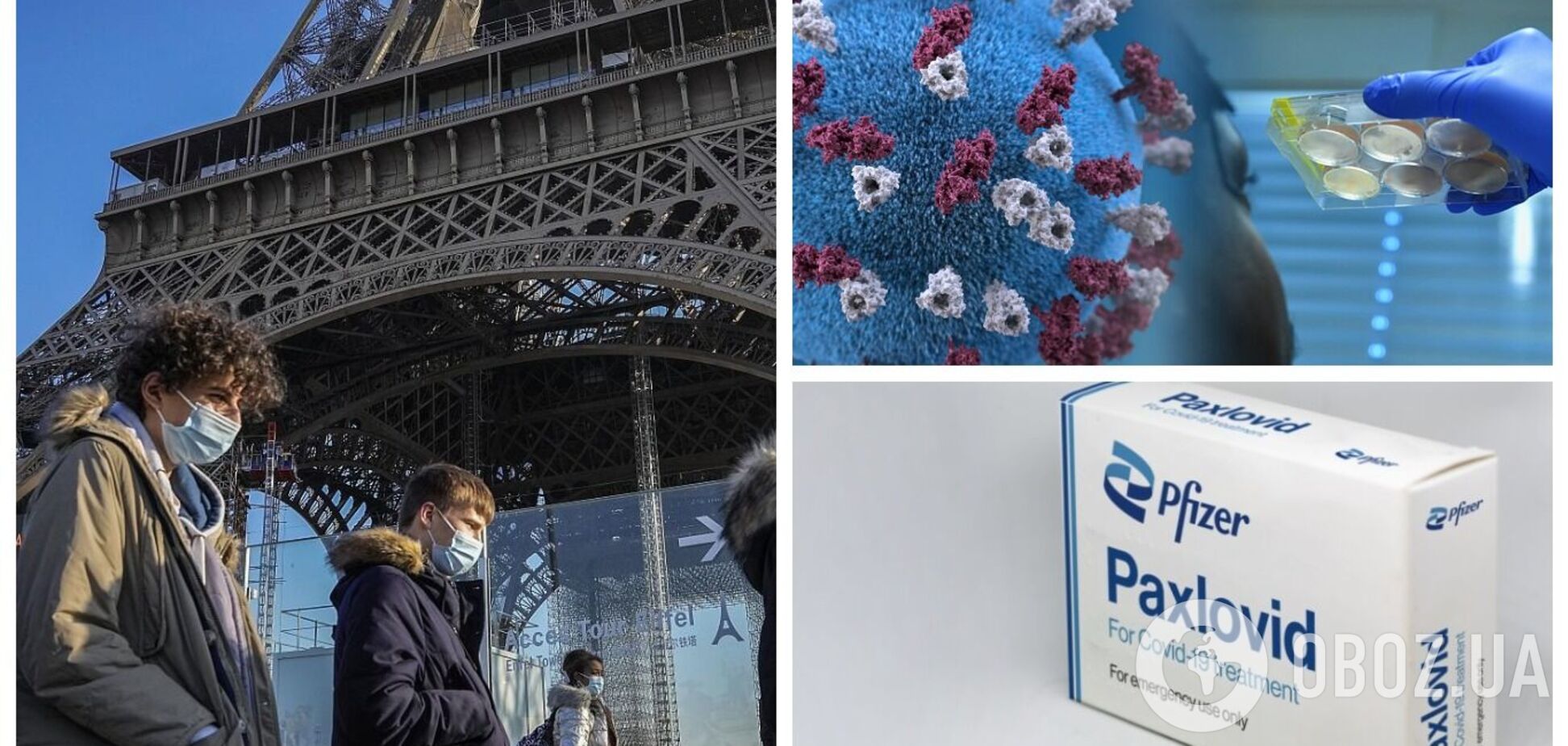 Франція першою в ЄС почне використовувати таблетки від Pfizer для лікування COVID-19: що відомо про препарат