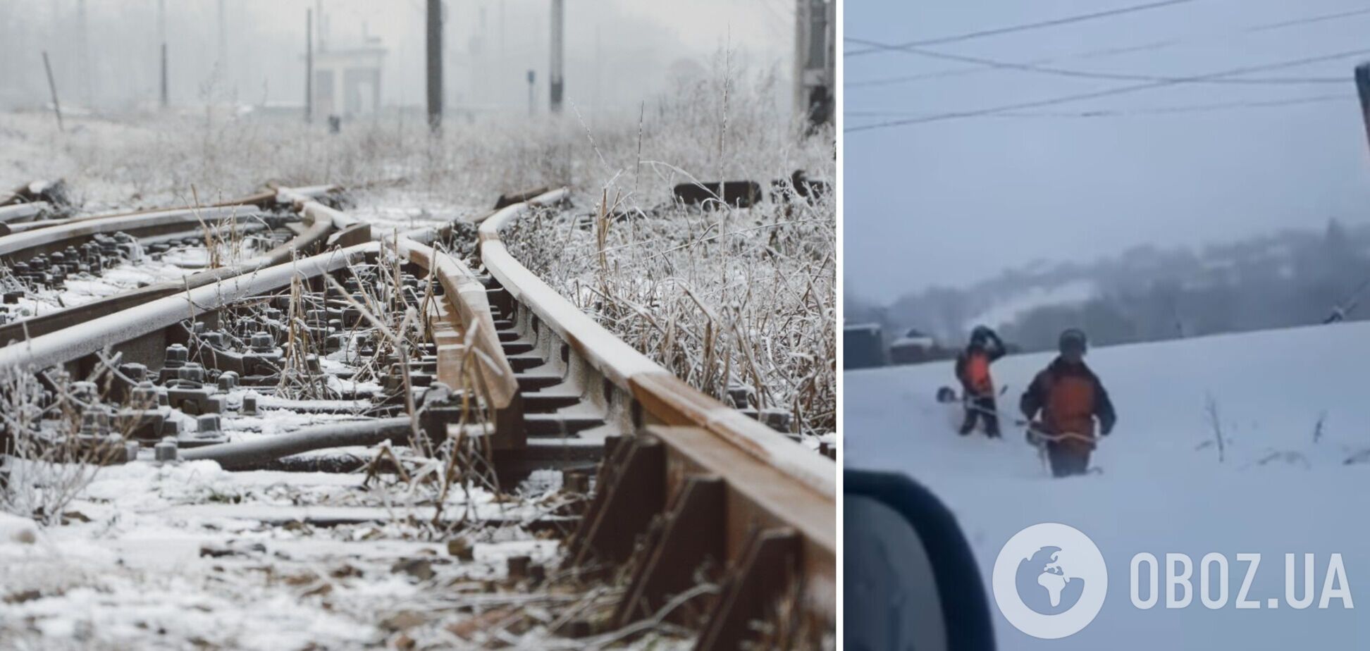 Серед зими у сніжних заметах: на Закарпатті залізничників відправили косити бур'ян. Відео