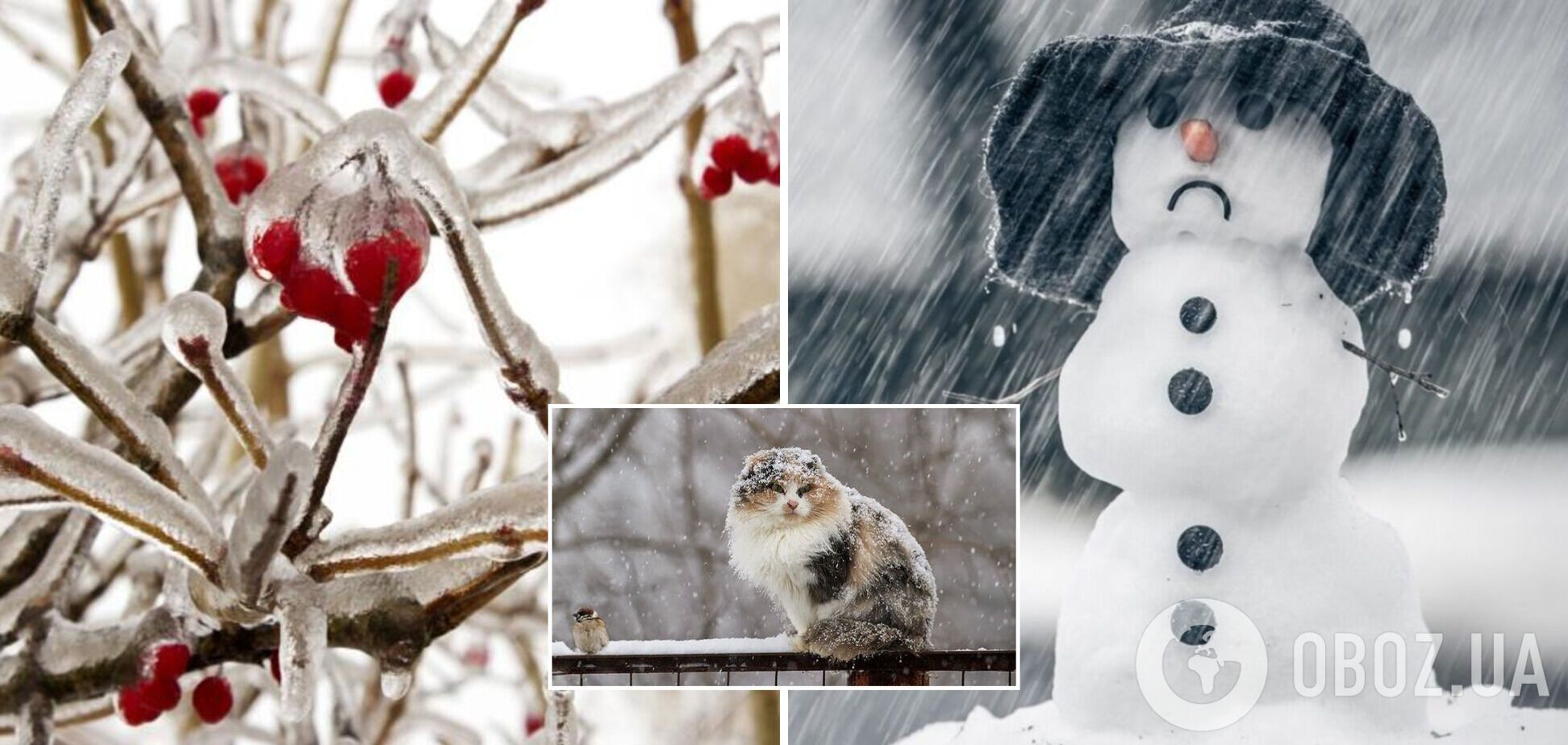 Погода в Украине будет снежной и дождливой