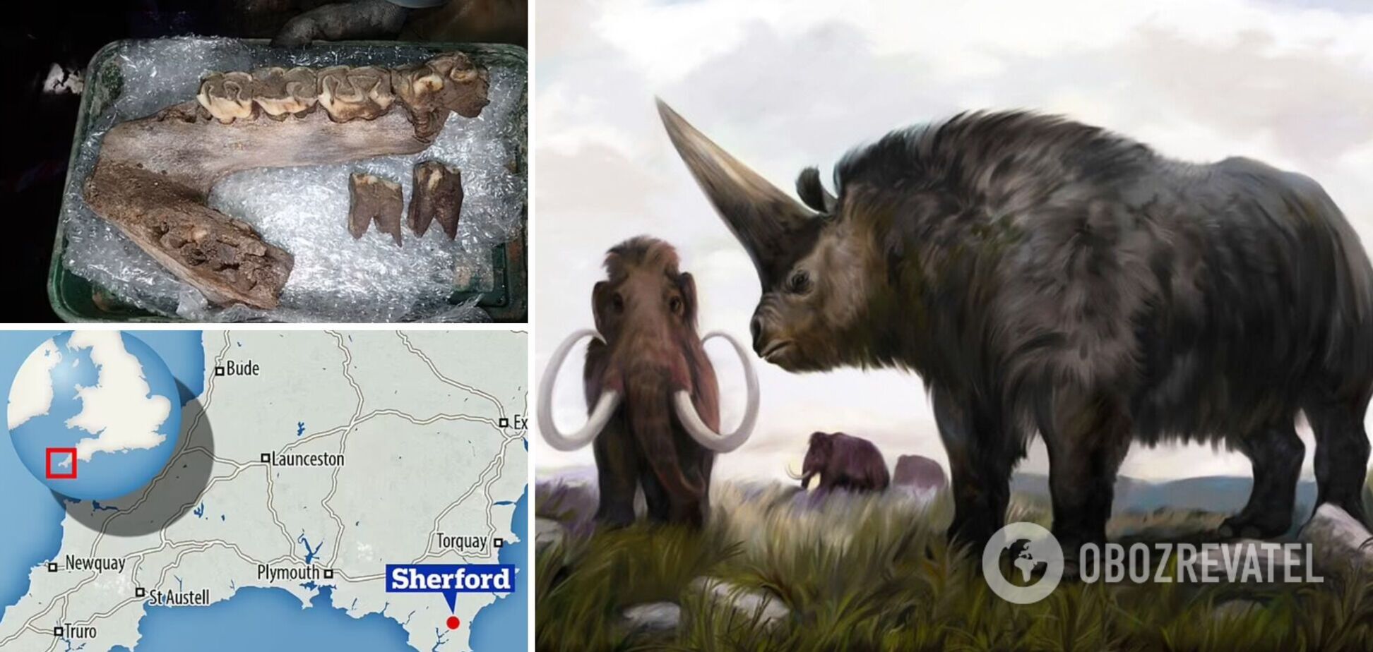 В Британии нашли останки мамонта и древнего носорога из ледникового периода. Фото