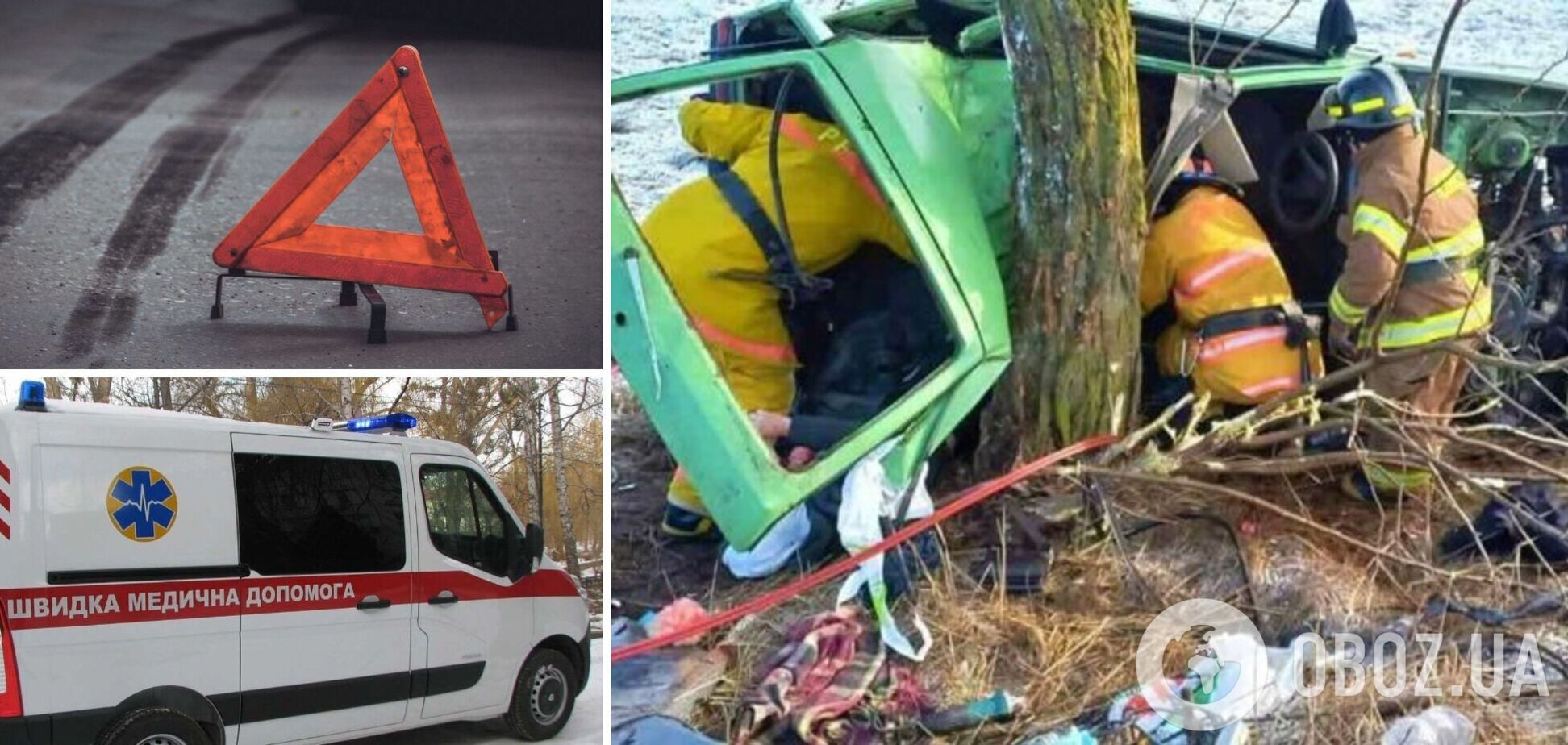 Під Мелітополем авто вилетіло в кювет: загинуло двоє людей, ще двоє в лікарні. Фото і відео