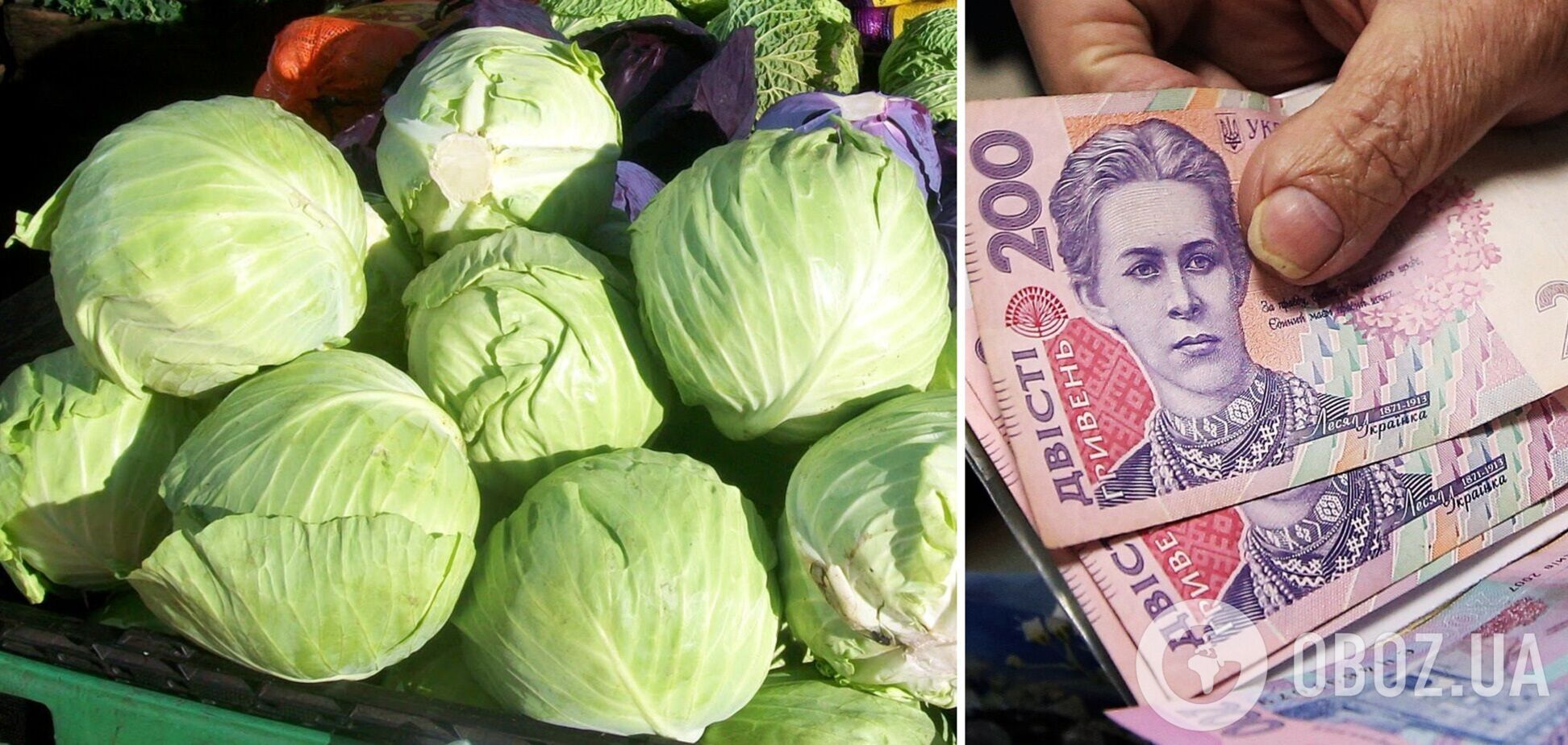 В Україні знизилися ціни на капусту