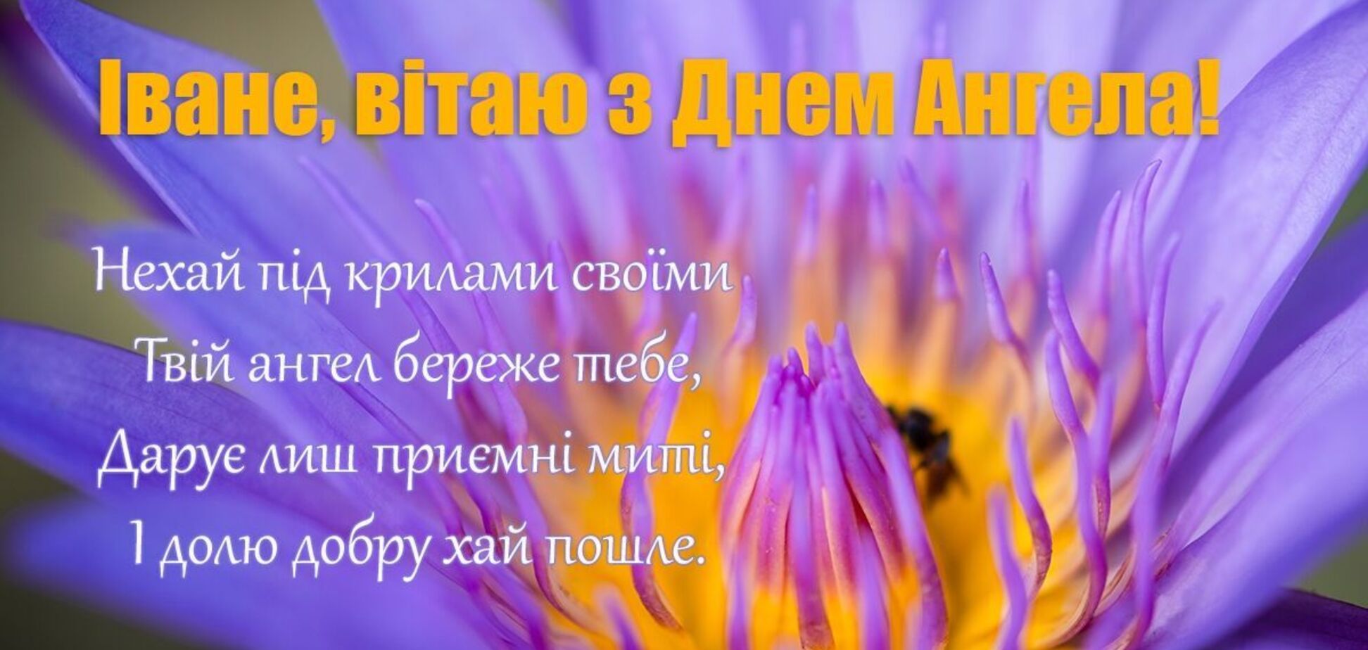 День ангела Івана 2022 - листівки, картинки та привітання з іменинами