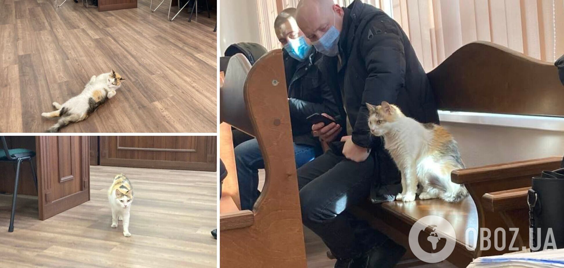 Событие произошло в Святошинском райсуде столиці