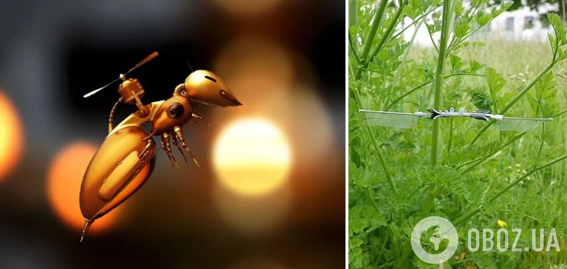 В Британии создали летающих роботов размером с насекомое: где их будут использовать