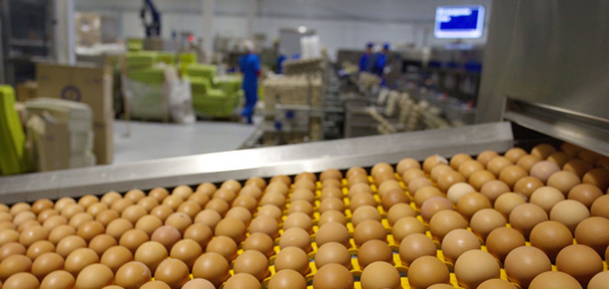 Обесточены ряд ключевых птицефабрик, птицы без питания и обречены – агрохолдинг 'Авангард'