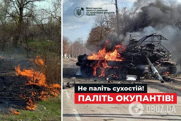 'Не паліть сухостій, паліть окупантів': в Мінзахисту довкілля звернулися із закликом до українців. Фото