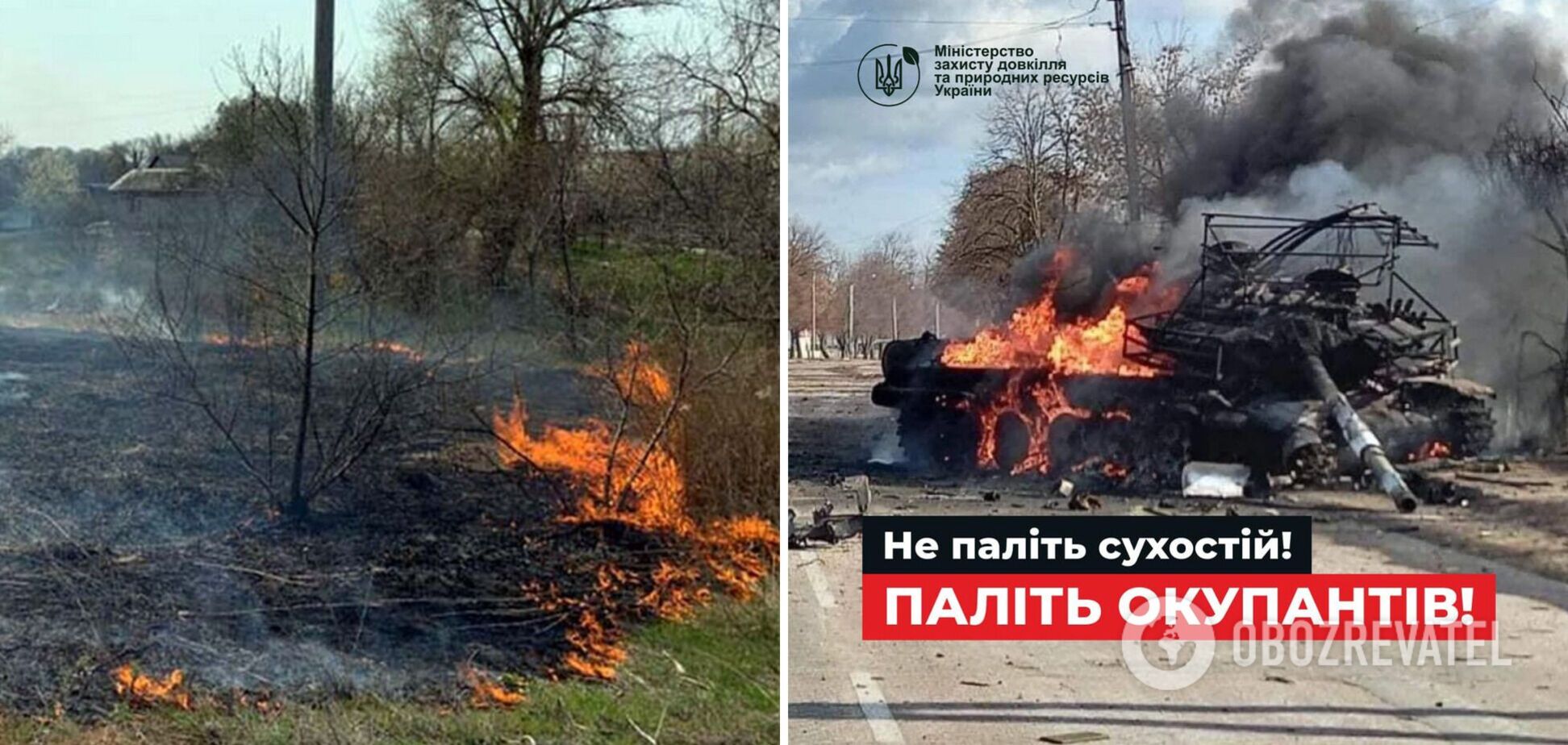 'Не паліть сухостій, паліть окупантів': в Мінзахисту довкілля звернулися із закликом до українців. Фото