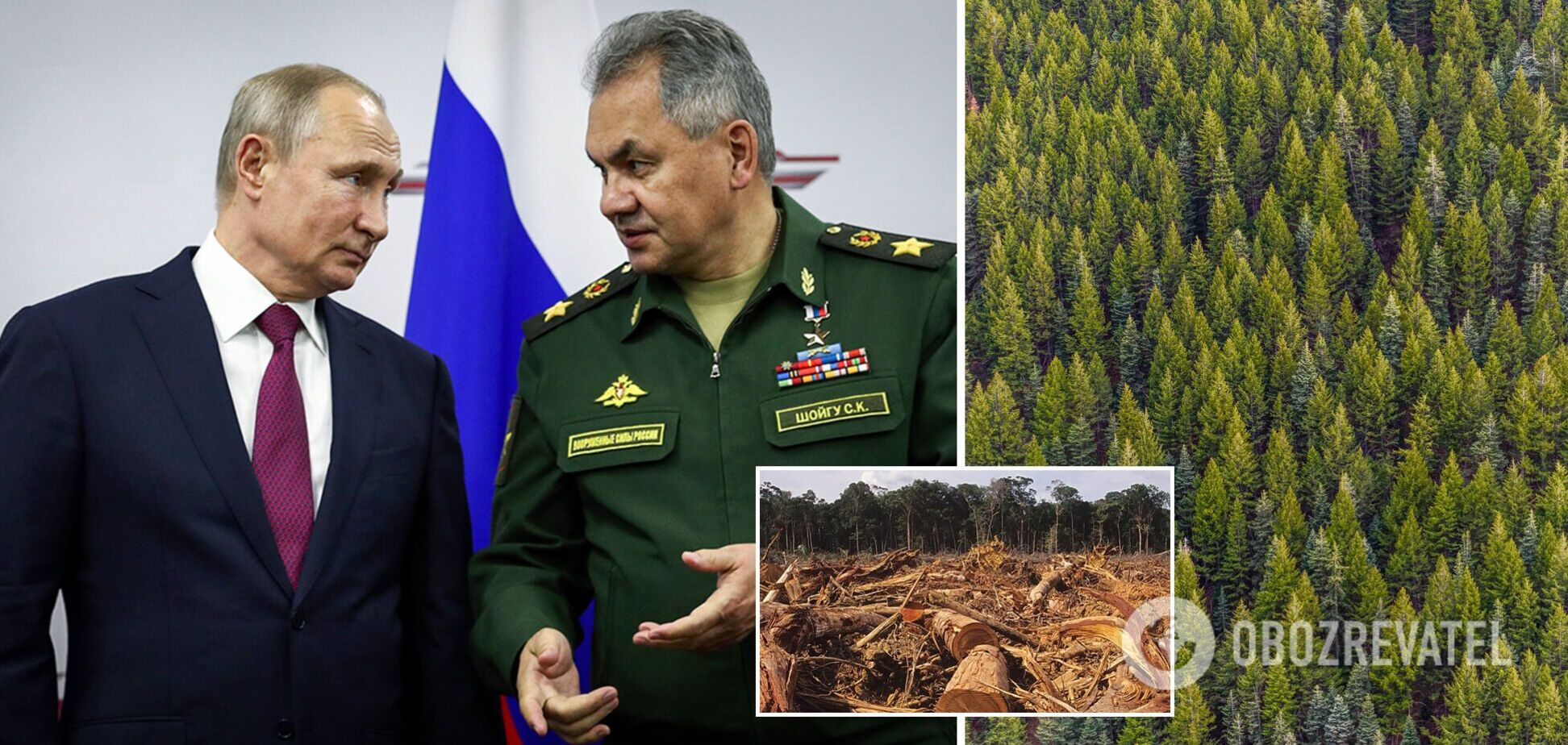 РФ планирует массовую вырубку леса в Украине