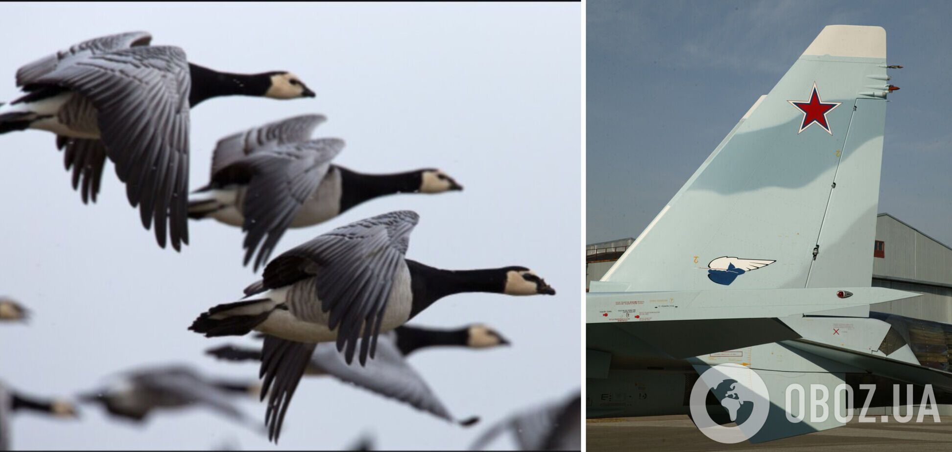 На Херсонщині ворожий винищувач розбився через диких гусей: з'явилися подробиці