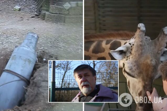 Ракетами по рідкісним тваринам: як зоопарк Миколаєва виживає під час війни. Відео