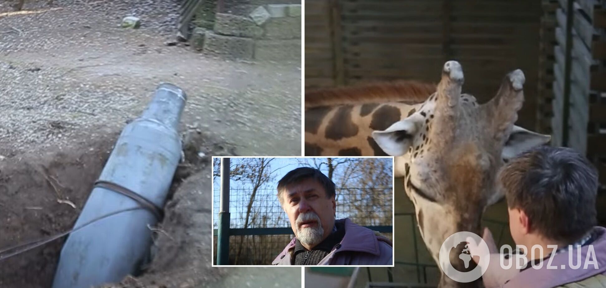 Ракетами по редким животным: как зоопарк Николаева выживает во время войны. Видео